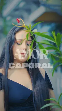 AMOR CAPORAL II