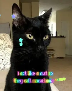 KITTYUUHH