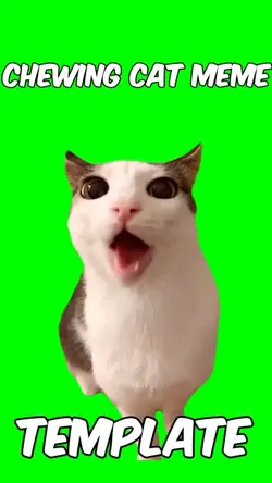 Chewing cat meme 