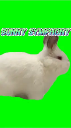 Bunny Symphony