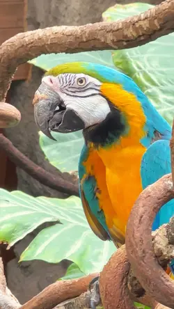 NYC Central Park Zoo