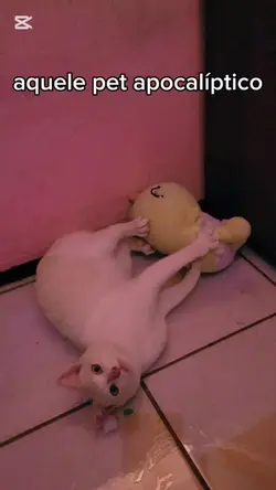 Pet apocalíptico