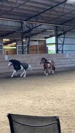 Brownie and Rico