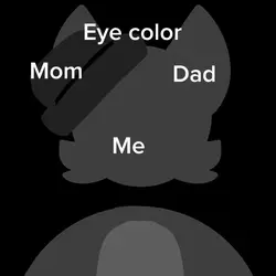 My jeans