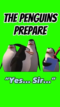 THE PENGUINS PREPARE