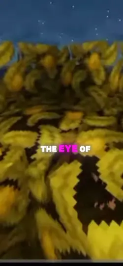 THE EYE OF THE STORM