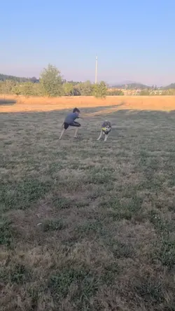 Play catch