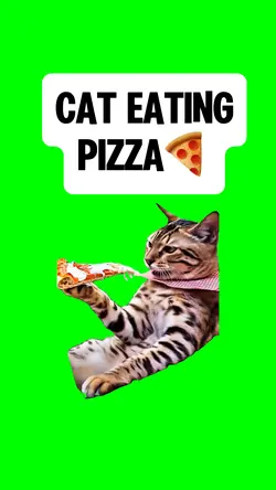 CAT EATING PIZZA