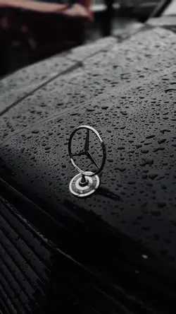 MERCEDES 🐈‍⬛