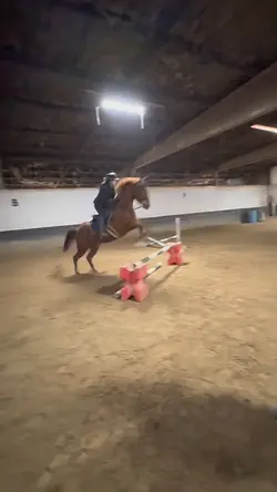 It did give me wings