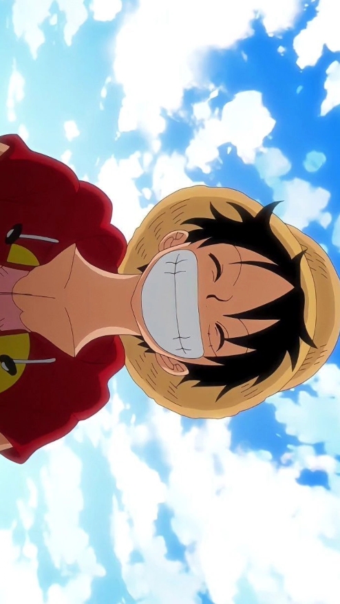luffy model simple 