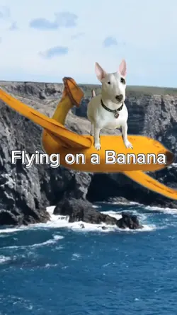 Flying on a Banana 