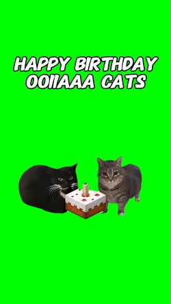 Happy Birthday OOIIA