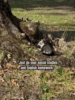 I hate ss nd English