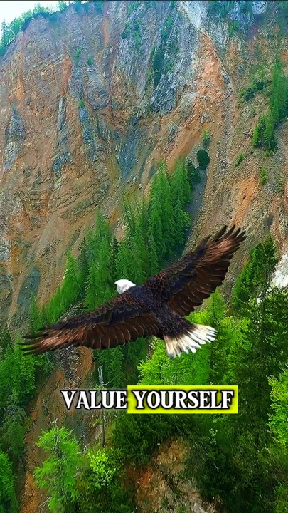 Valorisez-vous 