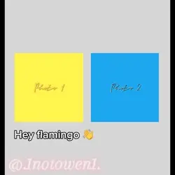 Hey Flamingo