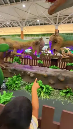 Kids | Stories Reels