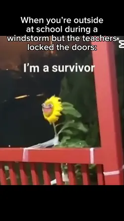 Im A sUrViVoR π°