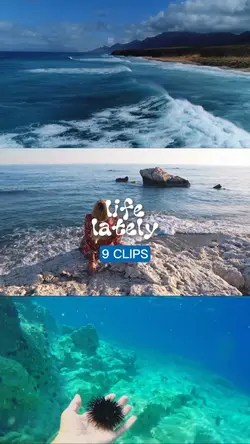 life lately (summer)