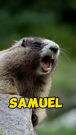 Samuel 