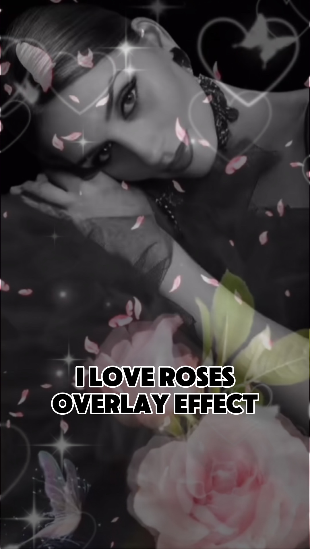 Effet de roses superposées