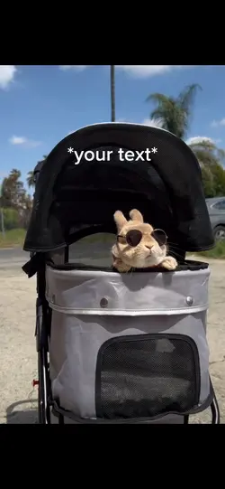 Bunny Template