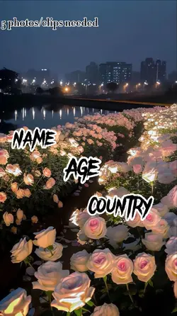 name,age,country😀