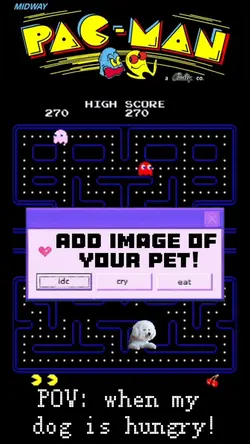 RETRO PET GAME 
