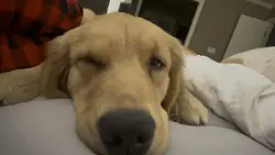 Microsoft error soun