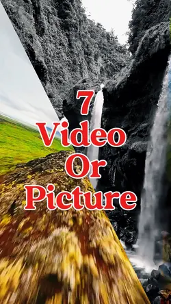 7 video or picture 