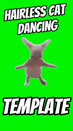 Hairless Cat Dancing