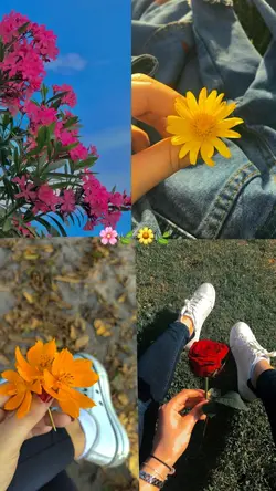 Natureza linda 