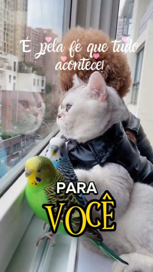 TUDO É PERMISSÃO DE 