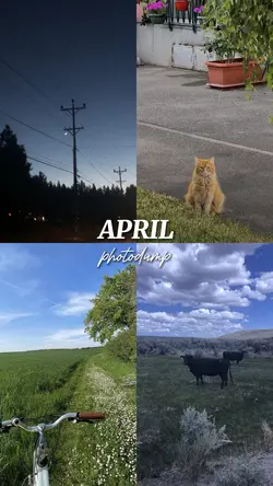 April Photodump
