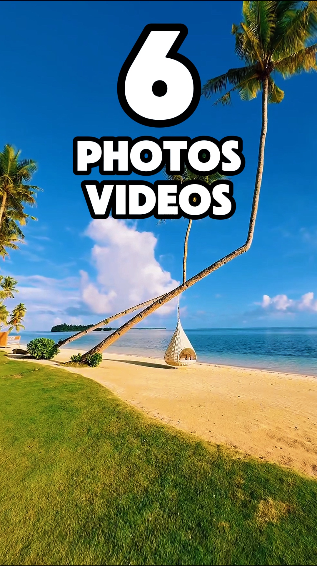 6 photos or videos 