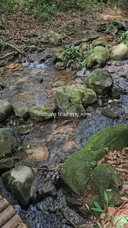 natureza