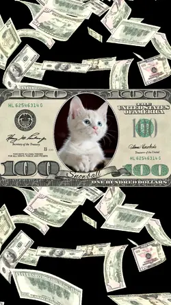 Cash Rules Everythin