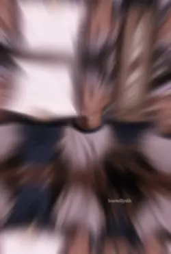 DANIEL LARUSSO 😮‍💨