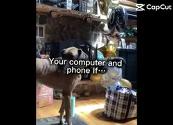 Computer
