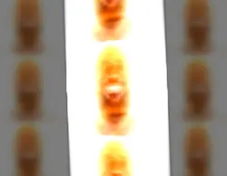 le
