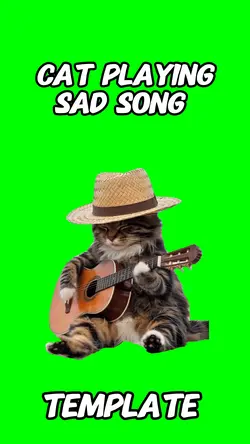 Cat playing sad song