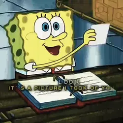Sponge bob