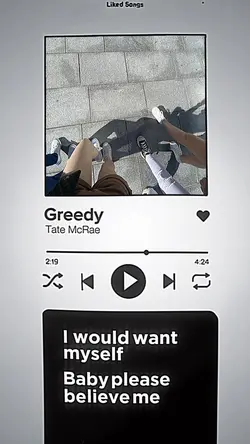 spotify to camera