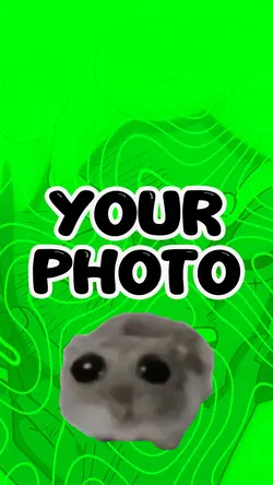 Hampter meme