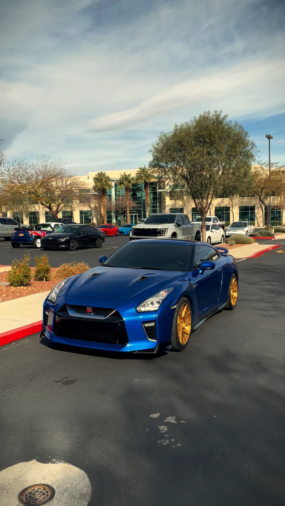Cover Picture