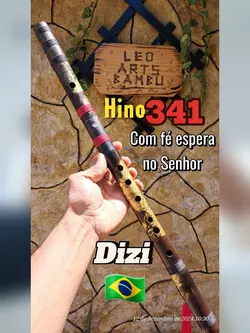 Hino 341 Bambooflute