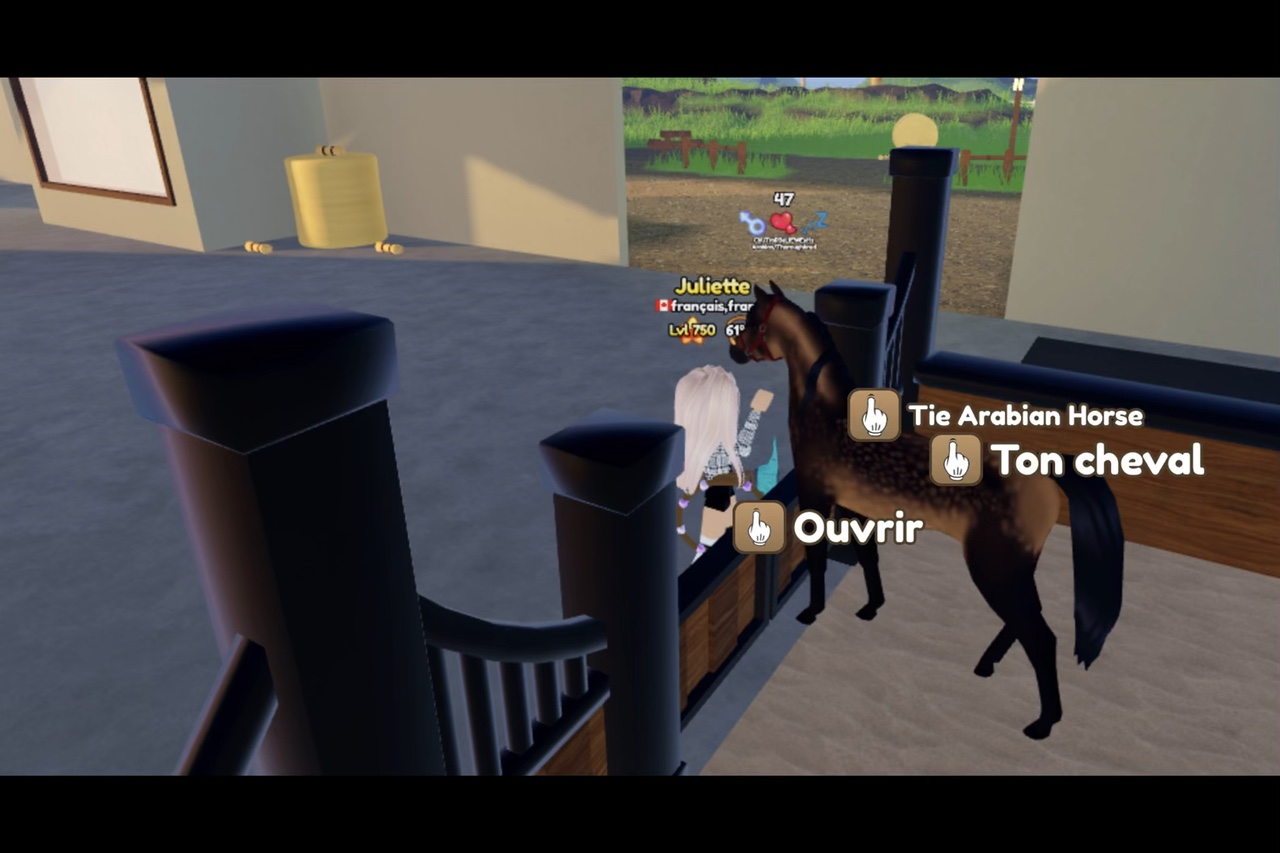 Wild horse island