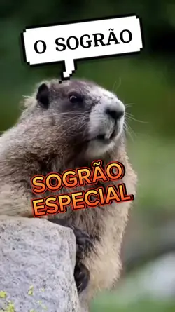 SOGRÃO ESPECIAL 