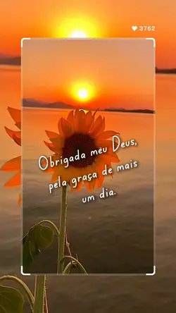 status 