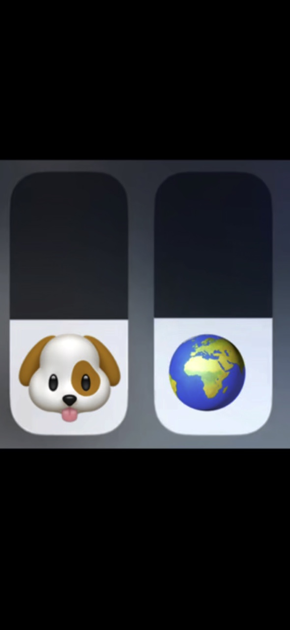 Dog..